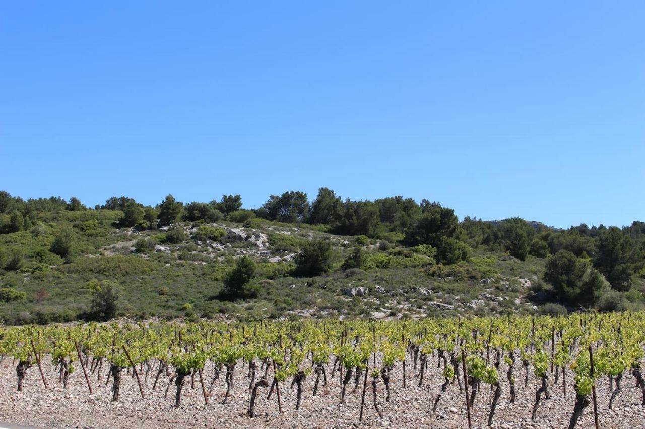 Apartamento Au Bord De Narbona